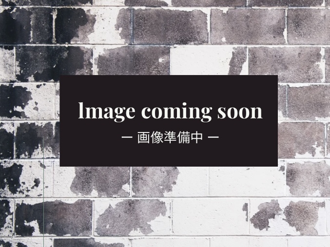 アカデミア美術館 サムネイル