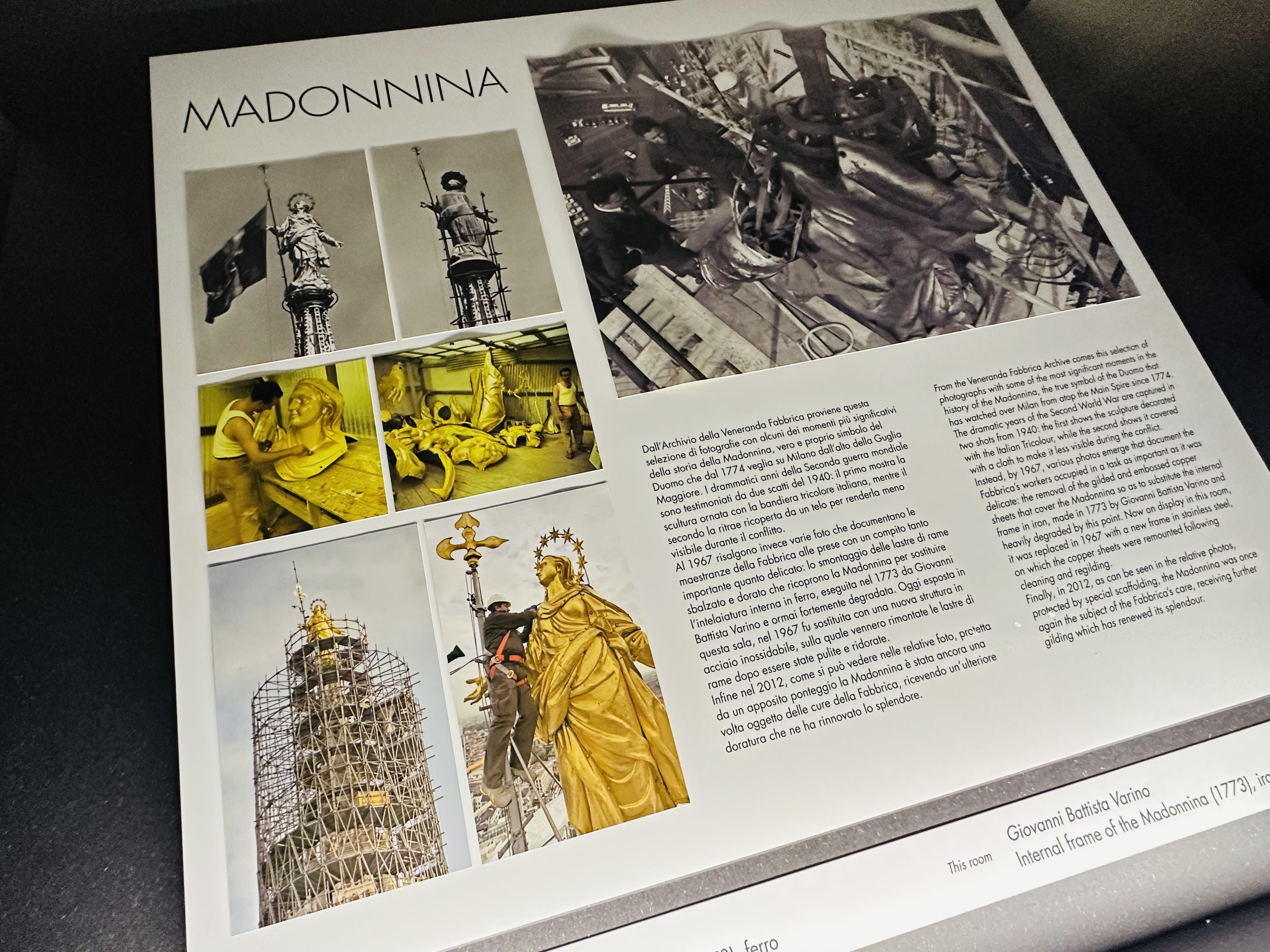 マドンニーナ説明